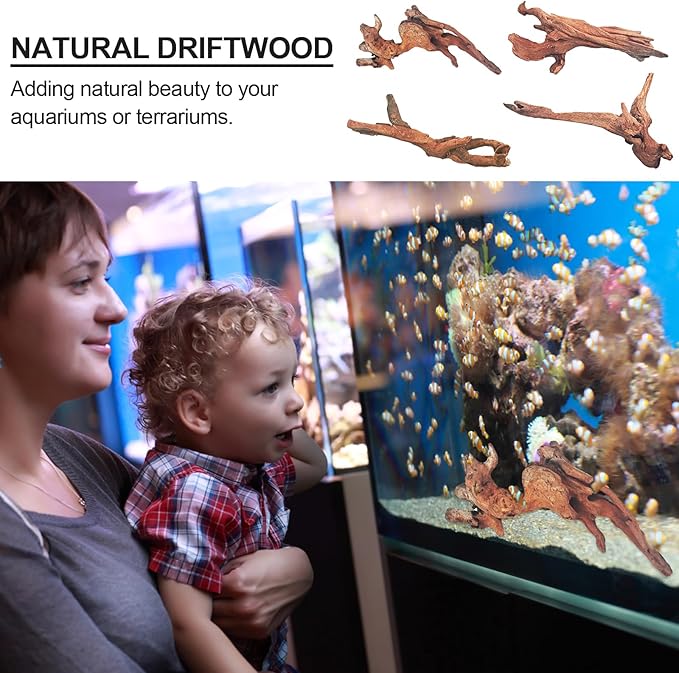 Natural Driftwood Decor for Aquarium Decorations Reptile Tank Accessories, Assorted Wood Branches Decorations on Reptile Fish Tank 2-10" 2 Pcs/4 Pcs/ 5 Pcs/ 6 Pcs (Pack of 4 (5. to 8 Inch))