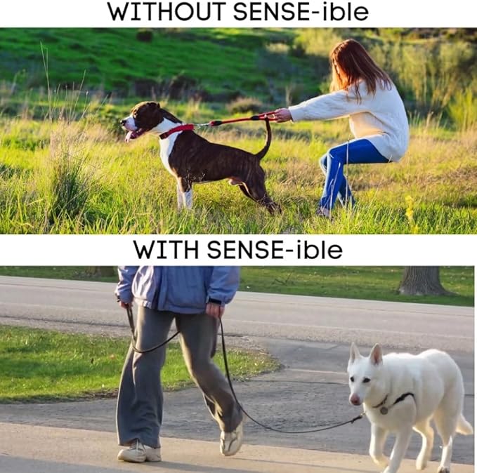 SENSE-ible No-Pull Dog Harness - Red Medium/Large (Wide)