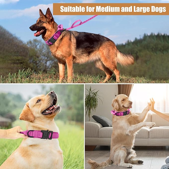 Tactical Dog Collar Leash Set, Adjustable Military Training Nylon Collar Dog Training with Control Handleand Metal Buckle, Dog Collar for Medium Large Dogs (Pink,XL)