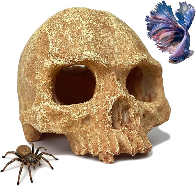 Aquarium Decor - Small Skull Hiding Cave for Fish Tank, Aquarium Hideout Ornament with Skull Texture for Betta, Guppy, Shrimp, Spider - Aquatic Hide Decoration, Fish Hiding House（White）