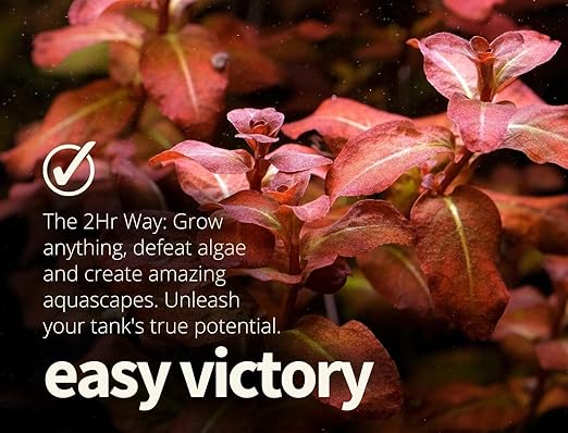 2HR Aquarist All-in-One Aquarium Plant Fertilizer APT 1/ Zero (300ml)