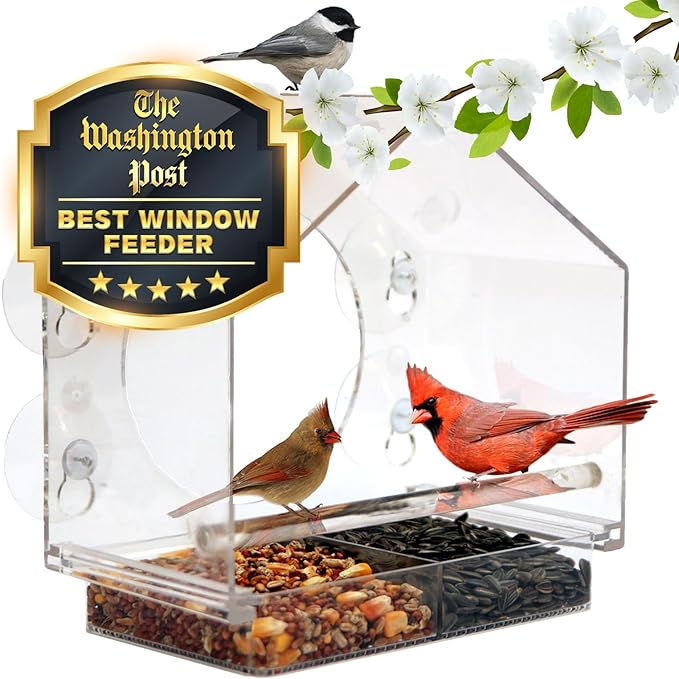 Nature Anywhere Window Bird Feeder - Transparent Acrylic Bird Feeders for Outdoors - Enhanced Suction Grip, Bird Watching for Cats, Easy-to-Clean, Outdoor Birdhouse Feeder (2 Units)