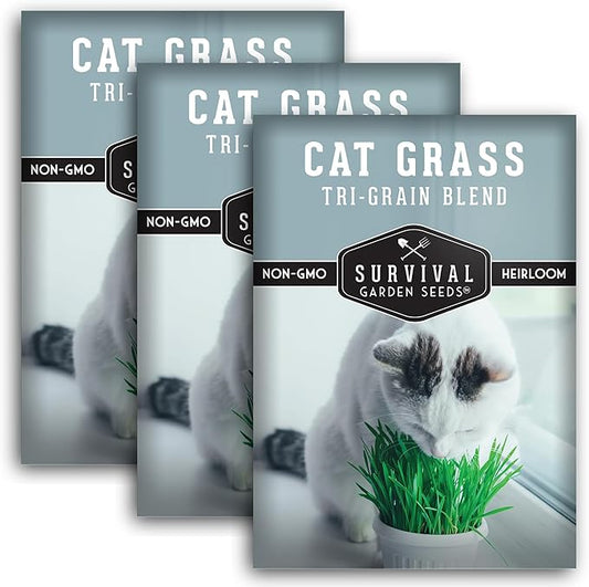 Cat Grass Seeds for Planting – Grow Pet Greens Indoors or Outdoors – Heirloom Non-GMO Tri Grain Blend – Survival Garden Seeds (3 Pack, Seed Only)