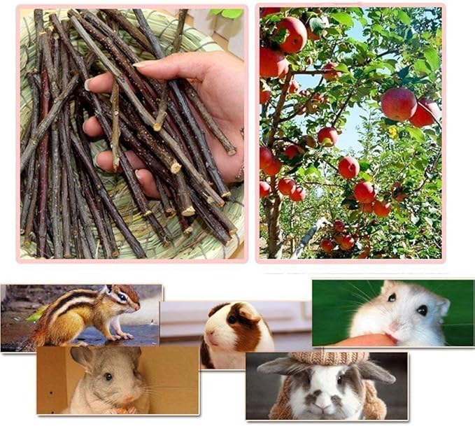 TAI JI 500g(18oz) Apple Sticks Small Animals Chew Toys for Chinchillas Guinea Pigs Rabbits Hamsters Squirrels