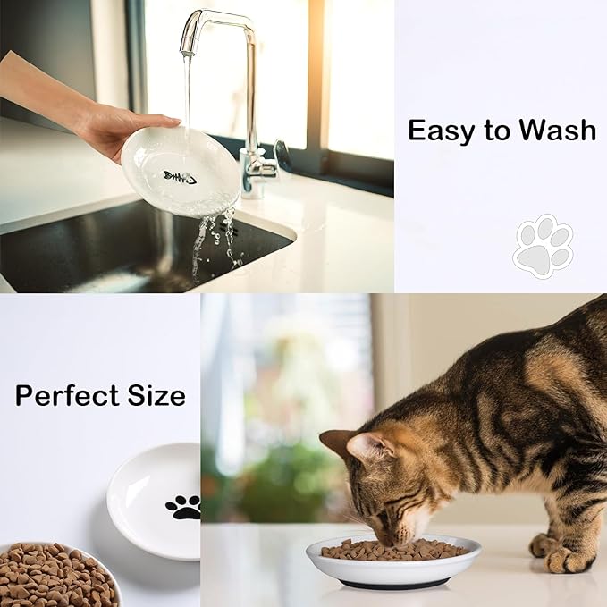 WROSWT Cat Food Bowl,Healthy Ceramic Cat Bowls for Indoor Cats,Anti Whisker Fatigue Cats Dishes Set,Shallow Wide Kitten Plates for Food and Water,Non-Slip Silicone Bottom,6 Pack