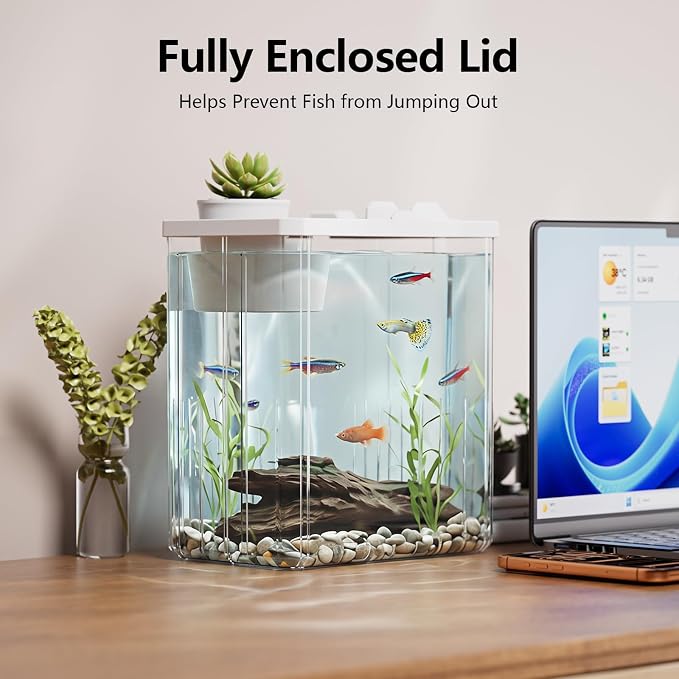 2 Gallon Betta Fish Tank Aquarium Starter Kit with Light and Lid(White) | Premium Acrylic Aquarium with Light and Lid, Crystal Clear Starter Kit for Betta Fish, Shrimp, Snails and Small Fish