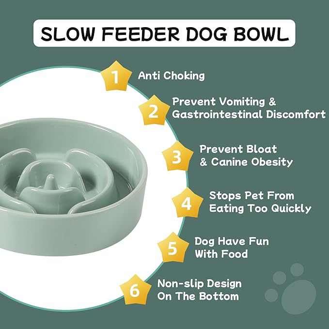Havniva Ceramic 0.9 Cup Dog Bowl Slow Feeder for Small Dog, 6.1inch Pet Puzzle Slow Feeder, Stop Bloat, Preventing Choking(1 Bowl-Light Green)