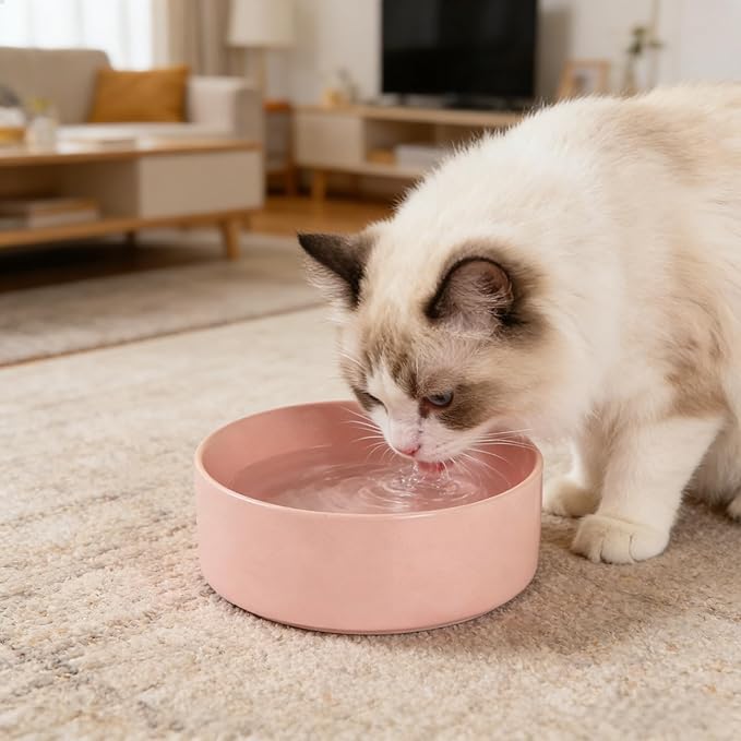 13.5 oz Ceramic Pet Bowl, Non-Slip Anti-Skid Base, Easy Clean Food & Water Feeder for Cats and Small Dogs – Pink