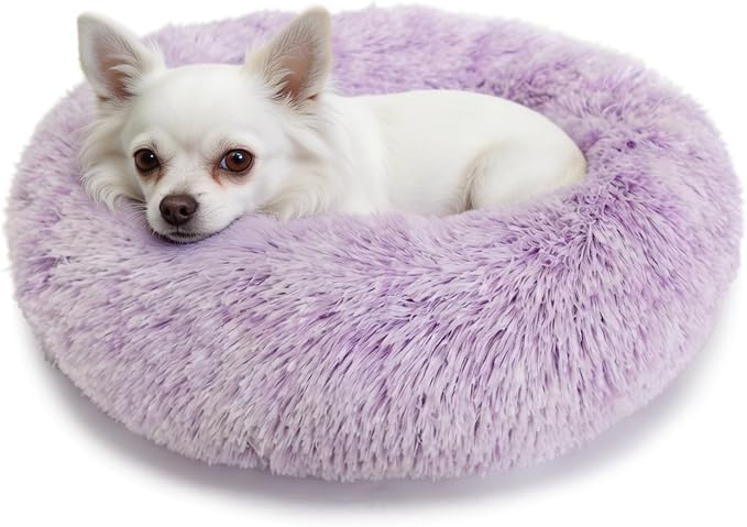 Calming Donut Dogs Beds for Small Dogs Washable,19inch Fluffy Round Puppy Bed for Puppies,Cats & Toy Breeds with Raised Rim,Fits up to 15 lbs Pets,Gradient Purple