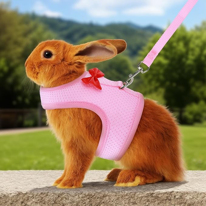 Bunny Harness and Leash Set, Soft Breathable Mesh Rabbit Leash Vest with Safety Buckles, Lightweight Escape-Proof Walking Gear for Rabbits, Kittens, Ferrets, Guinea Pigs, Pink M
