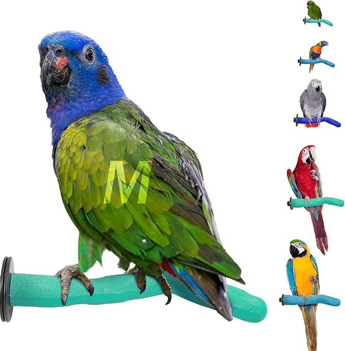 Sweet Feet & Beak Safety Pumice Bird Perch, Medium 1-1/4" X 12", Lightweight Grinding Bird Perches for Cage - Bird Nail Trimming Perch for Healthy Beak & Feet - Multi-Size & Color Parrot Stand- Purple