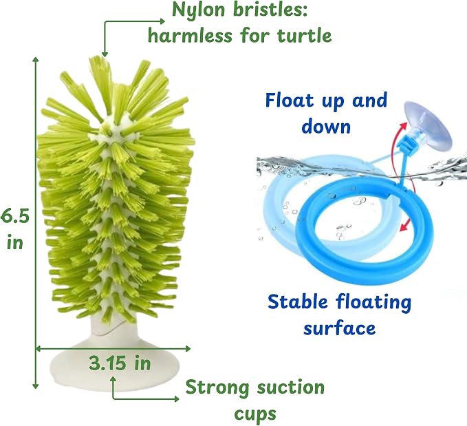 Turtle Brush with Suction Cup & Feeding Ring, 2-Piece Cleaning & Feeding Set (Green)