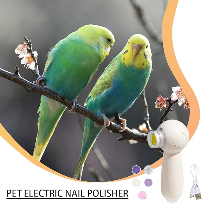 Bird Nail Grinder, Electric Parrot Beak Trimmer, 6 Grinding Heads Tool, 5.12x3.15x1.97 Inches Low Noise Rotary File, 1 Set White Usb Rechargeable, Bird Care for Cockatiel Hamster Small Pet Grooming