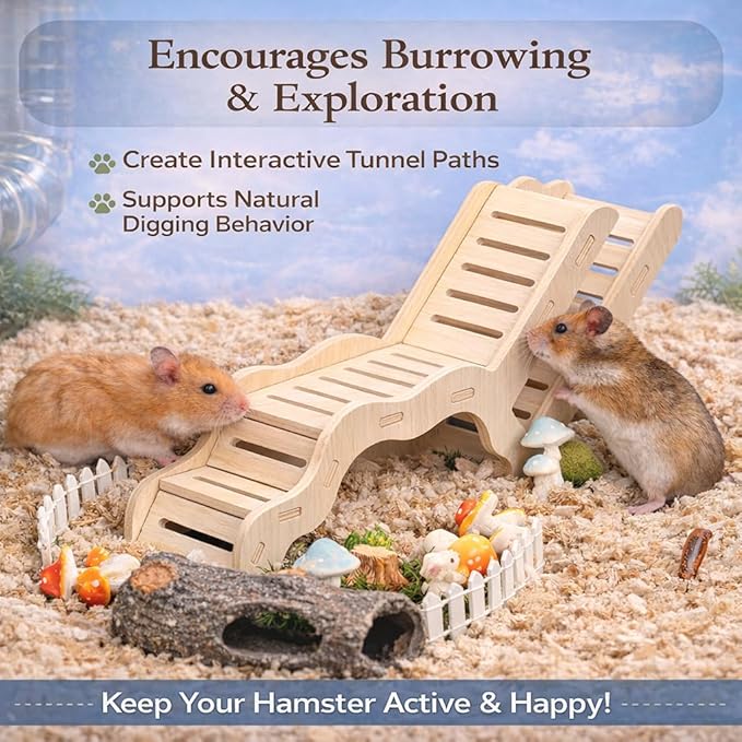 Small Size Hamster Explorer Set - Snap-Together Wooden Burrow with Panoramic Window, Natural Chew-Safe Design & Underground Activity Viewer for Cage Enrichment