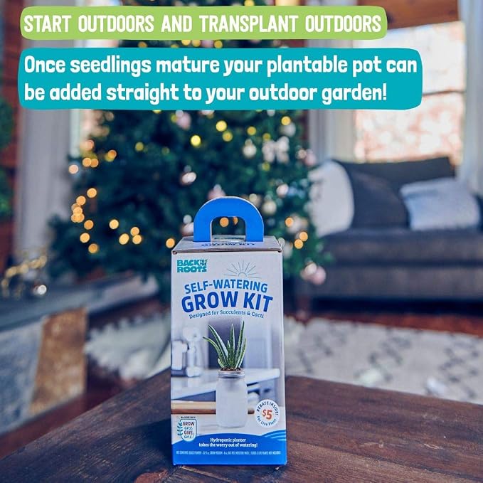 Back to the Roots Self Watering Grow Kit - Glass Hydroponic Planters for Succulents and Cacti Self-Watering System (Pack of 3)