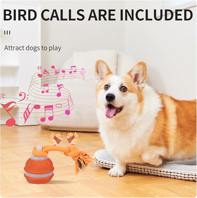 2PCS Interactive Dog Toys Dog Ball,Automatic Rolling and Bouncing Moving Dog Toy,Squeaky Rolling Balls with Flashing Light,USB Rechargeable Chew Toys for Puppy Small Dogs, Pet Ball to Keep Them Busy