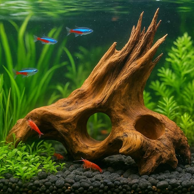 emours Porous Natural Driftwood for Aquarium, Aquascaping Driftwood with Holes, Hand-Selected Tunnels & Hideouts, Aquascaping Hardscape, Terrarium Reptile Décor, No Paint or Resin (8-12" (20-30 cm))
