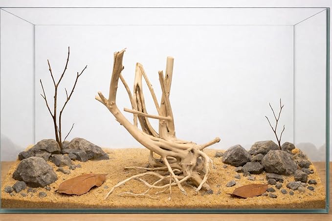 Azil spiderwood Natural Aquarium
