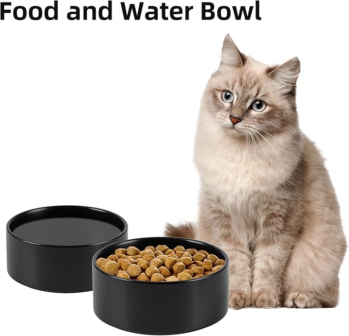 Havniva 5.1” Dog Bowl Ceramic Dog Food and Water Bowl Set of 2, Durable Dog Water Bowl with Non-Slip Rubber Base Large Capacity Feeding Dishes for Small Dogs