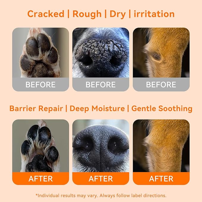 PUAINTA Lick-Safe Dog Paw & Nose Balm with Mess-Free Roller Ball - Safety Cap, Fast-Absorbing Protector for Winter Snow, Salt & Hot Pavement - Unscented Snout Soother - 2oz