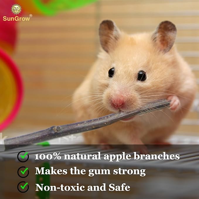 SunGrow Apple Sticks, Wood Chew Sticks for Rabbits, Chinchillas, Bunny, Hamster, Squirrel, Guinea Pigs, Small Animals Molar Pet Chew Toys Treat for Teeth Grinding 200g (7 oz)