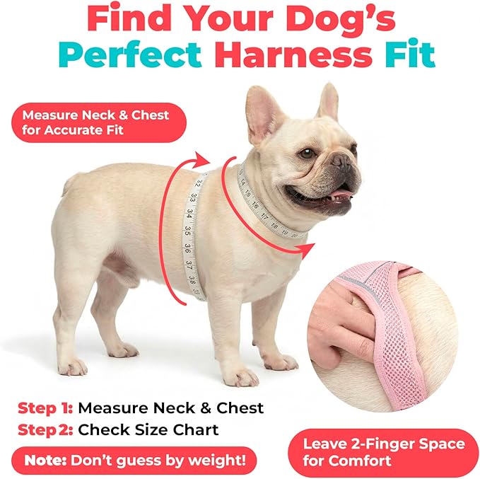 Best Pet Supplies Voyager Step-in Air Harness - All Weather Mesh, Reflective, No Pull Harness for Dogs, Cats - Secure with Hook & Loop Fastener, Buckle, Double D-Rings - Khaki, XXS