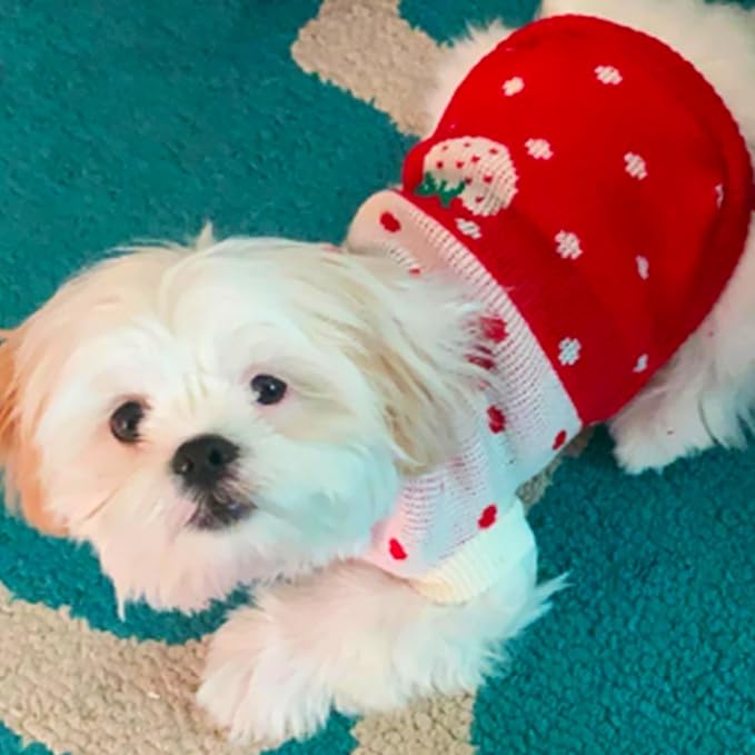 CHBORCHICEN Pet Dog Sweaters Classic Knitwear Turtleneck Winter Warm Puppy Clothing Cute Strawberry and Heart Doggie Sweater (Red1, Large)