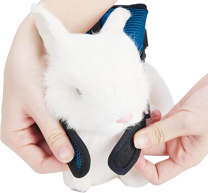 PETTOM Bunny Rabbit Harness with Stretchy Leash Cute Adjustable Buckle Breathable Mesh Vest for Kitten Small Pets Walking (Blue,S)