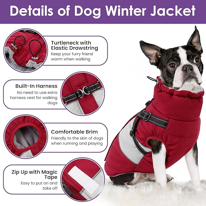 Small Dog Coat with Harness Built in, Warm Dog Jacket Winter with Zipper On Back, Waterproof Pet Snow Jacket Snowsuit Pet Sweater Clothes for Schnauzer, Yorkshire Terrier, Burgundy S