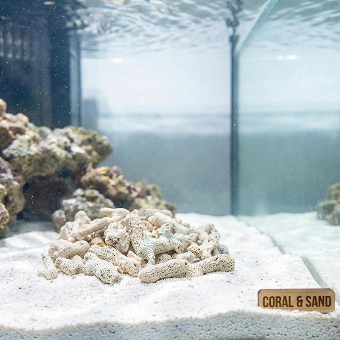 NOLITOY Crushed Coral Aquarium Filter Media – 800g Fish Tank Gravel | Natural coral rock for filtration, pH balance and clear water in freshwater & saltwater tanks, with mesh bag