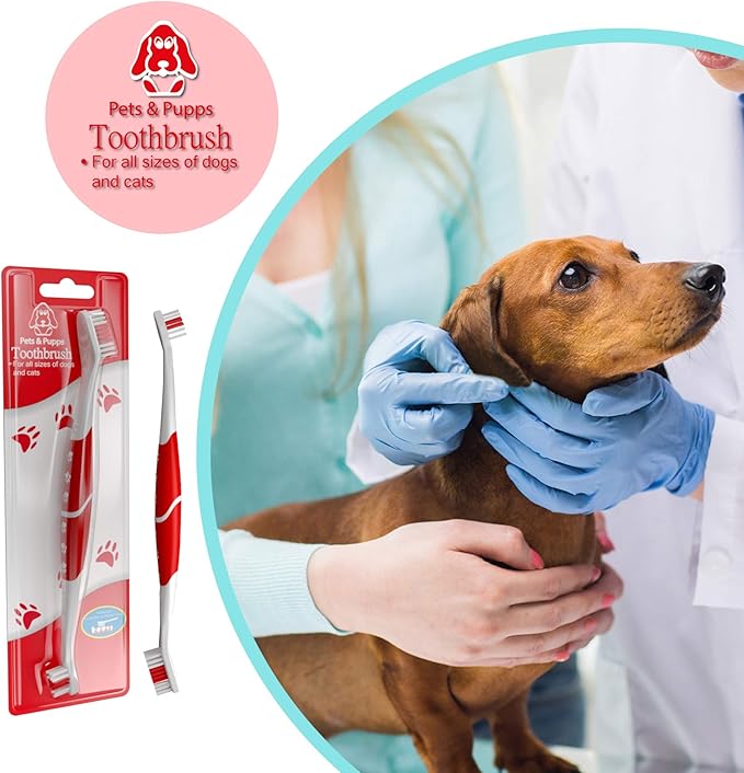 Pet Toothbrush for Dogs, Cats with Soft Bristles - Easy Teeth Cleaning & Dental Care, Non Slip Dual Head Dog Toothbrush for Medium & Large Pets, Toothpaste Not Included (Pack of 1 Blue)