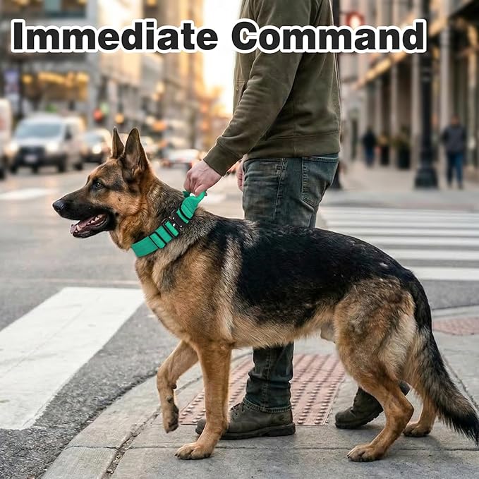 Joytale Tactical Dog Collar for X-Large Dogs with Control Handle, Heavy Duty Military Training Collar for Power Breeds, AirTag Holder Case, Quick Release Metal Buckle, Soft Padded, XL, Teal