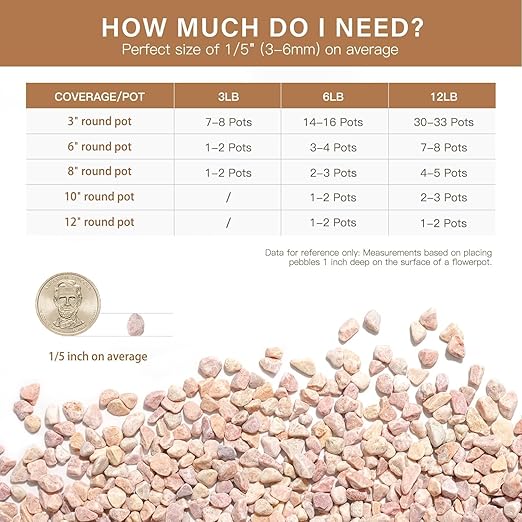 NUPICK 6 lbs Pebbles for Indoor Plants, 1/5 Inch Pea Gravel for Fish Tank, Decorative Rocks for Succulent, Natural River Stones for Vases, Cactus, Landscaping, Bird Bath, Aquarium, Peach