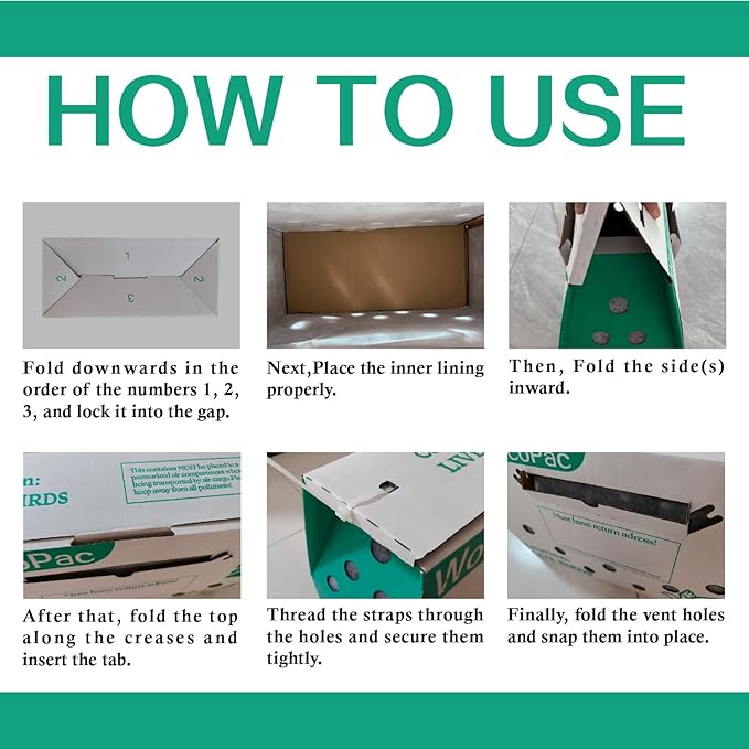 6 Pack Single Live Bird Shipping Boxes, Live Chicken Shipping Boxes, Poultry Shipping Boxes has Ventilation Openings, Cardboard Pet Carrier for Chicken, Bird, Duck, Pigeons, Canaries 17.7x7.8x11.8 in