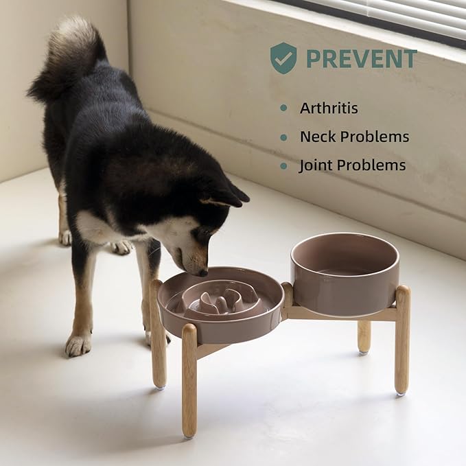 Havniva Ceramic Raised Slow Feeder Dog Bowl Set, Elevated 7.3inch Bowl and 8.2inch Puzzle Slow Dish with Wooden Stand for Medium and Large Dog, Anti-Gulping (2X Brown Coffee+ Stand)