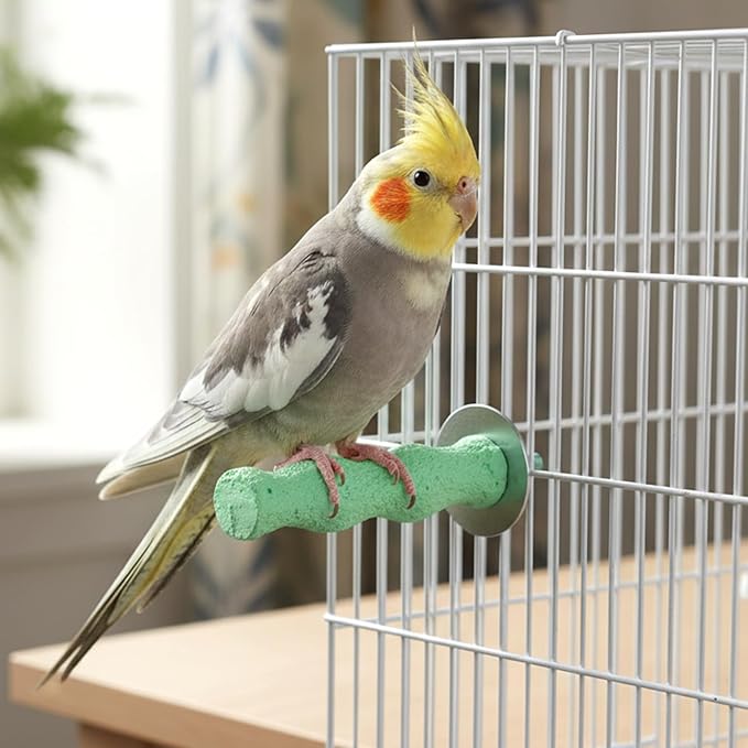 2 Pcs Bird Parrot Cage Perch Stand, Bird Beak Grinding Stone, Resin Anti-Slip Beak Grinder Stone Perches, Nail Trimming Stick, Claw Trimmer Stand, Cage Accessories for Birds, Parrot (Pink, Green)