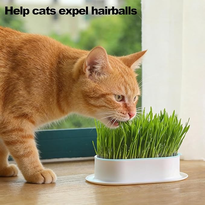 2Pcs Cat Grass Planter, Plastic Wheatgrass Planting Trays Hydroponic Cat Grass Growing Kits for Indoor Cats Soilless Nursery Box Pet Grass Pot (2 Color)