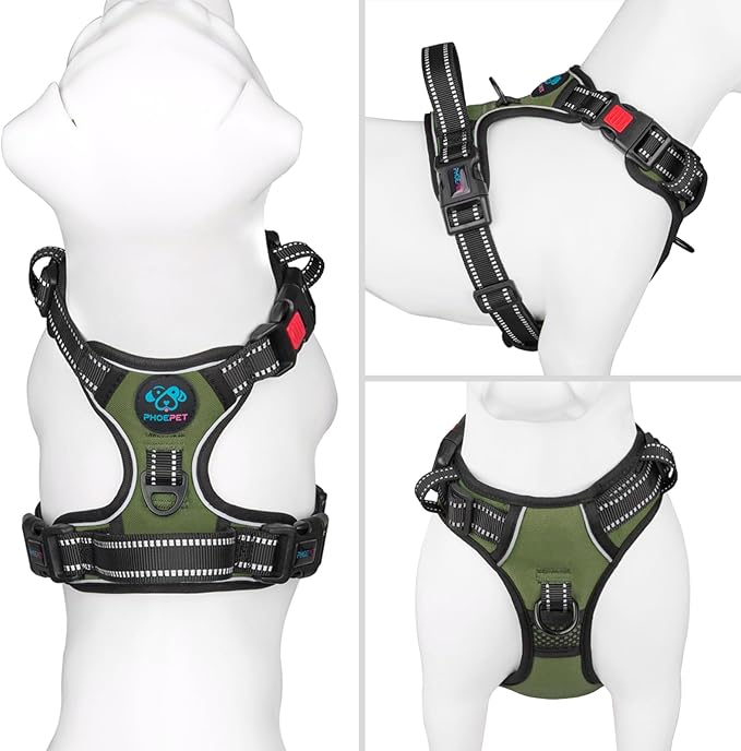PHOEPET No Pull Dog Harness with Handle Front & Back Clip, Easy on Lockable Snap Buckle at Neck, Adjustable Reflective Vest with Handle for Small Medium Large Dogs (S, Misty Green)