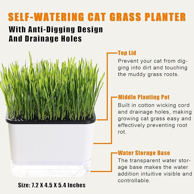 Self-Watering Cat Grass Planter (no Seed Included), with Drainage Holes and Anti-Digging Design, Wheat Grass Growing Pot, Cat Grass for Indoor Cats Pets (1)
