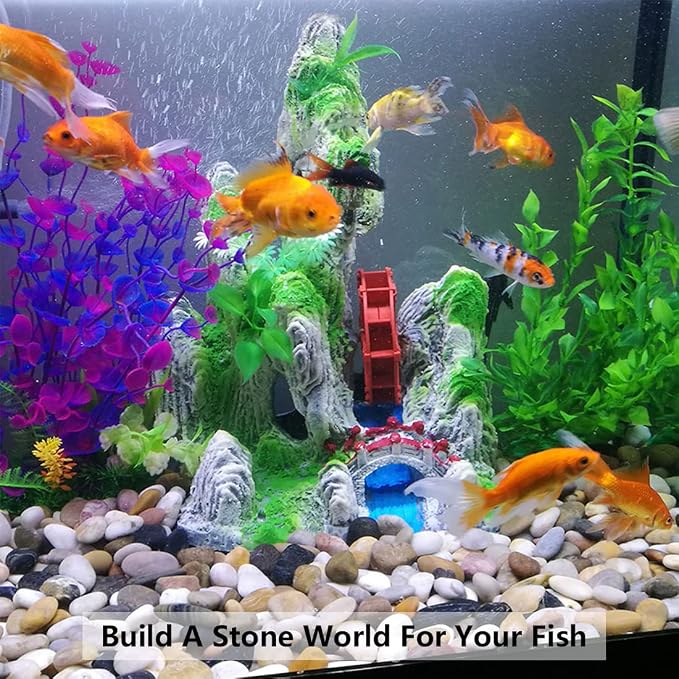 20lbs Black Pebbles for Plants, 1-2 Inch High Polished Natural River Rocks for Landscaping, Decorative Stones Vase Filler Fish Tank Aquariums Garden Outdoor and Indoor DIY