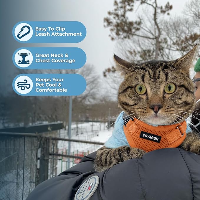 Voyager Escape-Proof Step-in Lock Cat Harness & 5ft Neoprene-Handle Leash Set All-Weather Mesh with Reflective Stitching for Small to Large Cats by Best Pet Supplies, Orange, XXS