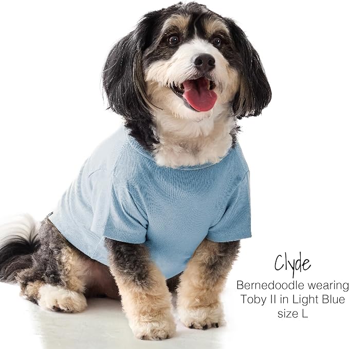 Pet Passion Toby II - The Perfect Tee, 3 Pack Short Sleeve Pet T-Shirt 100% Organic Cotton Tees Clothes for Small, Medium, Large Dogs, Navy Camo, Medium (20-45 lbs)