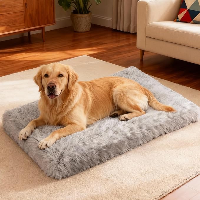 XL Orthopedic Dog Bed for Large Dogs, Dual-Layer Memory & Egg-Crate Foam, Washable Warm Winter Plush Cover, Waterproof Liner, Non-Slip Bottom, Crate/Kennel Pad, 44 x 32 Inch, Gray