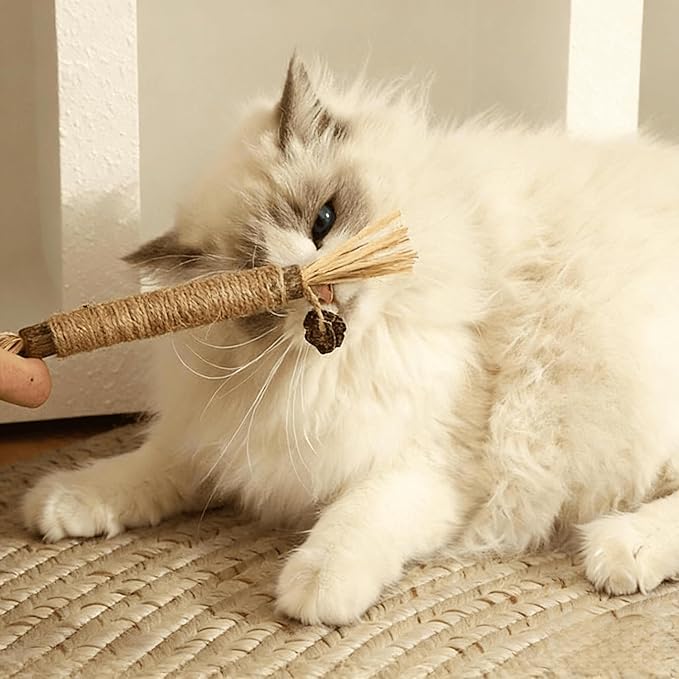 9PCS-Cat Chew Toy, Cat Toys for Indoor Cats with Silvervine Sticks, Safe Teeth Cleaning Chew Toys (Model 1)