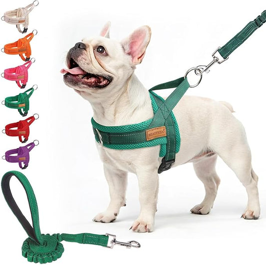BEAUTYZOO No Pull Dog Harness Medium Sized Dog, Breathable Mesh Padded Dog Harness and Leash Set, Adjustable Reflective Escape Proof Dog Vest Harnessss Quick Fit for Training Walking, Green M