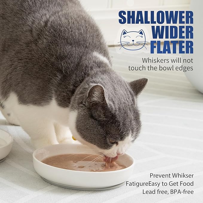 Lusifaco Shallow Cat Food Bowls - 5.9 Inch Wide Ceramic Anti Whisker Fatigue Cat Dishes Set With Non-Slip Silicone Mat - Kitten Plates for Food and Water - 3 Pack (Blue)