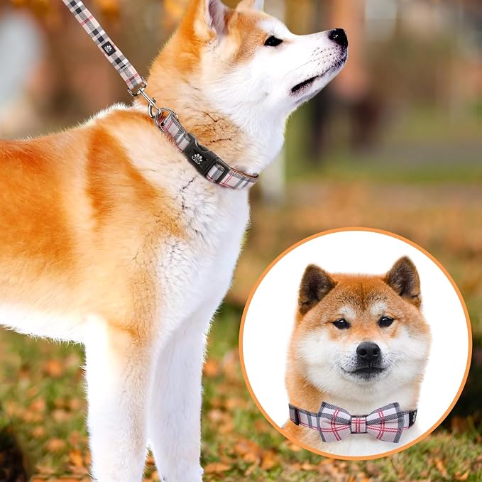 IVY&LANE Dog Collar with Bowtie and Leash Set | Plaid Adjustable Dog Collar | Detachable Bow Tie |5 FT Dog Leash | for Small Medium Large Dogs | Checkered Beige | Large