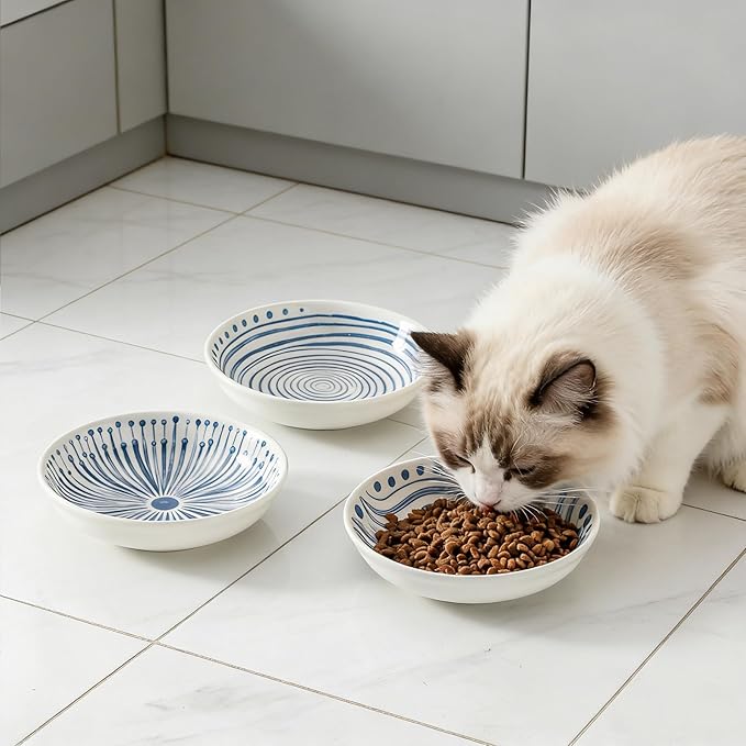 3 Ceramic Cat Bowls,5.5 inch Wide Shallow Cat Food Bowl for Relief Whisker Fatigue B Style