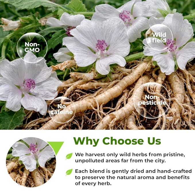4 oz. Dried Marshmallow Root Tea Marshmallow Root Herb Herbal Tea (Althaea Officinalis) - 113g Herb Raíz De Malvavisco
