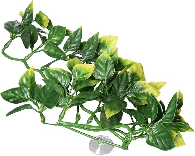 Hagen Exo Terra Plastic Terrarium Plant, Small, Amapallo